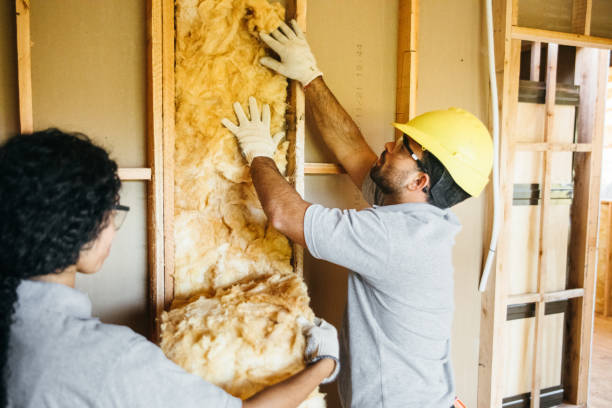 Types of Insulation We Offer in Palmer, TX